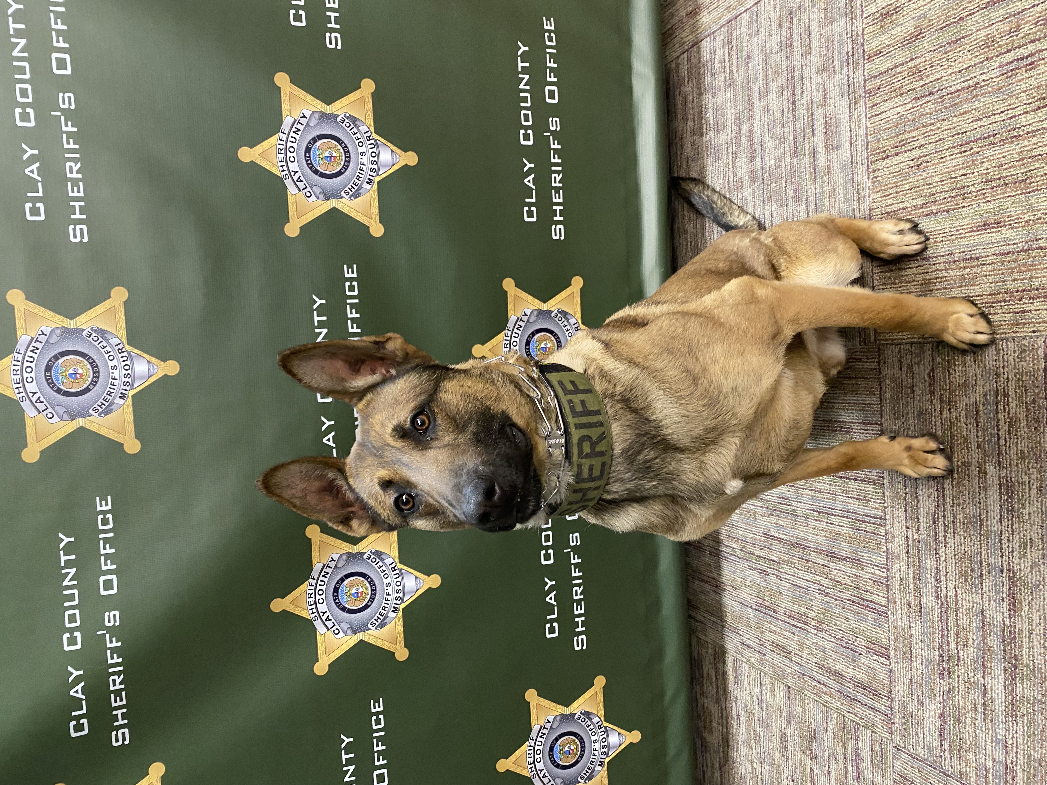 Clay County Sheriff’s Office K9 Argos to get donation of body armor